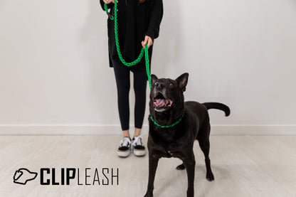 Clip Leash is a strong, safe, versatile dog leash designed to allow the user to adapt to different situations without taking the dog off of the leash. It is open ended to allow the ability to tether, go hands free, around the waist, and many more!