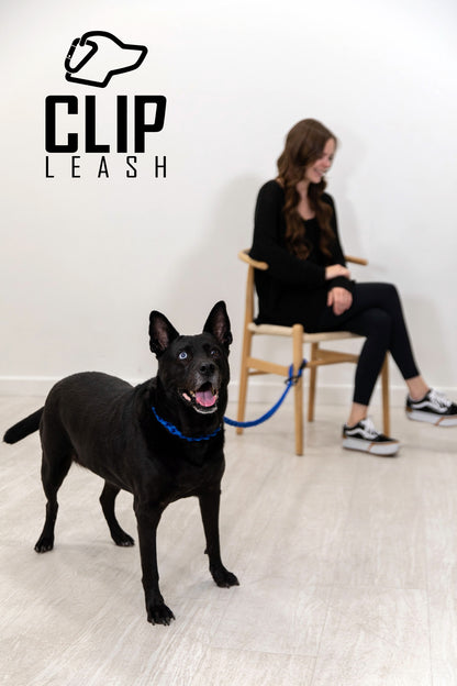 Clip Leash is a strong, safe, versatile dog leash designed to allow the user to adapt to different situations without taking the dog off of the leash. It is open ended to allow the ability to tether, go hands free, around the waist, and many more!